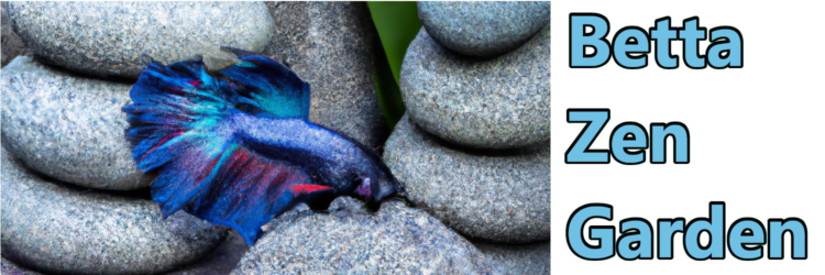 Betta Zen Garden