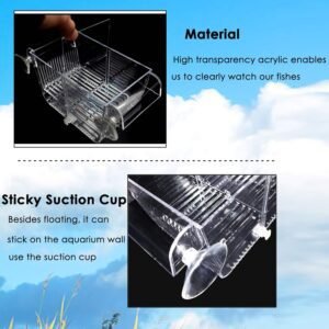 capetsma Fish Breeder Box Review