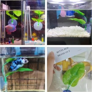 DOBA Betta Fish Leaf Soft Bed Review