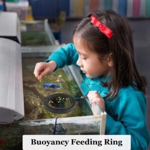 SunGrow Betta Feeding Ring Review