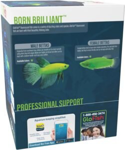 Tetra GloFish Betta Aquarium Kit 1.5 Gallons Review